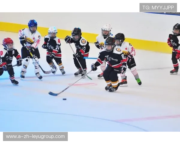 冰球教练团推出纪录片式训练手册被业内广泛引用